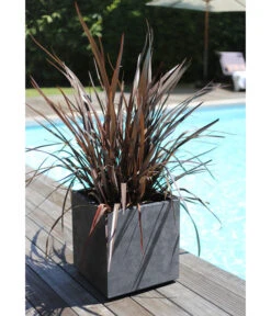 EDA-plastiques Kunststoff-Topf Basalt, Quadratisch, Anthrazit, Ca. B39,5/H43,5/T39,5 Cm 7 EDA-plastiques Kunststoff-Topf Basalt, Quadratisch, Anthrazit, Ca. B39,5/H43,5/T39,5 Cm -Biohort || Compo || Elho Verkäufe 6763965 WE MO 001 PflanztopfGrap40x40