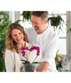 Dehner Keramik-Übertopf Nature Earth, Konisch, Grau, Ca. Ø14 Cm 7 Dehner Keramik-Übertopf Nature Earth, Konisch, Grau, Ca. Ø14 Cm -Biohort || Compo || Elho Verkäufe 6895577 WE MO 001 OrchideentopfNature