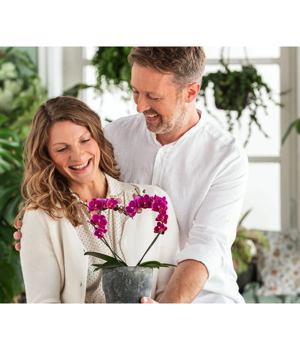 Dehner Keramik-Übertopf Nature Earth, Konisch, Grau, Ca. Ø14 Cm 4 Dehner Keramik-Übertopf Nature Earth, Konisch, Grau, Ca. Ø14 Cm – Bild 2