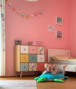 Westmann Pool-Buddy Schildkröte 11 Westmann Pool-Buddy Schildkröte -Biohort || Compo || Elho Verkäufe 6935472 WE MO 003 WestmannPoolbuddySchildkroete