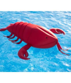 Westmann Pool-Buddy Lobster -Biohort || Compo || Elho Verkäufe 6935563 WE MO 002 WestmannPoolbuddyLobster