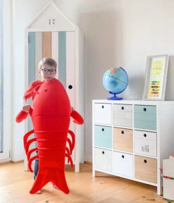 Westmann Pool-Buddy Lobster -Biohort || Compo || Elho Verkäufe 6935563 WE MO 004 WestmannPoolbuddyLobster