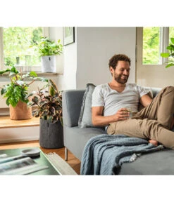 LECHUZA® TRENDCOVER Cork, All-in-One Set 8 LECHUZA® TRENDCOVER Cork, All-in-One Set -Biohort || Compo || Elho Verkäufe 6946891 6946933 6947097 6947139 WE MO 001 Trendcover