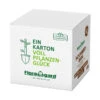 Floragard Bio Hochbeeterde Box, 60 L 2 Floragard Bio Hochbeeterde Box, 60 L -Biohort || Compo || Elho Verkäufe 6955785 WE FS 001 FloragardBioHochbeeterdeBox60l