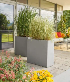 LECHUZA® Kunststoff-Kasten Canto Stone, Rechteckig, Ca. B79/H76/T37 Cm -Biohort || Compo || Elho Verkäufe 6963235 WE MO 001 LechuzaKunststoffKastenCantoStonerechteckig