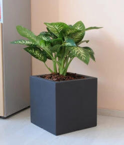 Farmet New Doppelwandiger Kunststoff-Kübel Atlantis, Quadratisch, Dunkelgrau, Inkl. Untersetzer -Biohort || Compo || Elho Verkäufe 6965065 WE MO 001 FarmetNewdoppelwandigerKunststoffKuebelAtlantisrechteckig