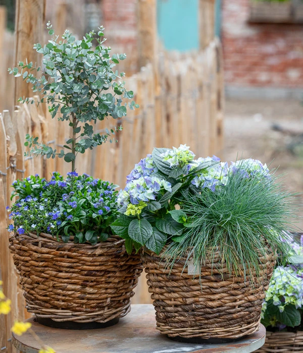 Van Der Leeden Bananenblatt-Topf, Rund, Braun 4 Van Der Leeden Bananenblatt-Topf, Rund, Braun – Bild 2