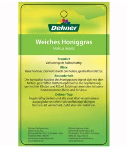 Weiches Honiggras 7 Weiches Honiggras -Biohort || Compo || Elho Verkäufe 8033276 HoniggrasEtikett2