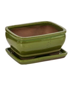 Dehner Keramik-Bonsaischale, Rechteckig, Hellgrün, Ca. B16/H7/T12 Cm