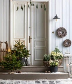 Biohort || Compo || Elho Verkäufe 12 Biohort || Compo || Elho Verkäufe -Biohort || Compo || Elho Verkäufe 8996100 8014870 8014557 8014722 8014847 WE MO 001 AbiesNordmannianaHolzkreuzWeihnachtsbaeume